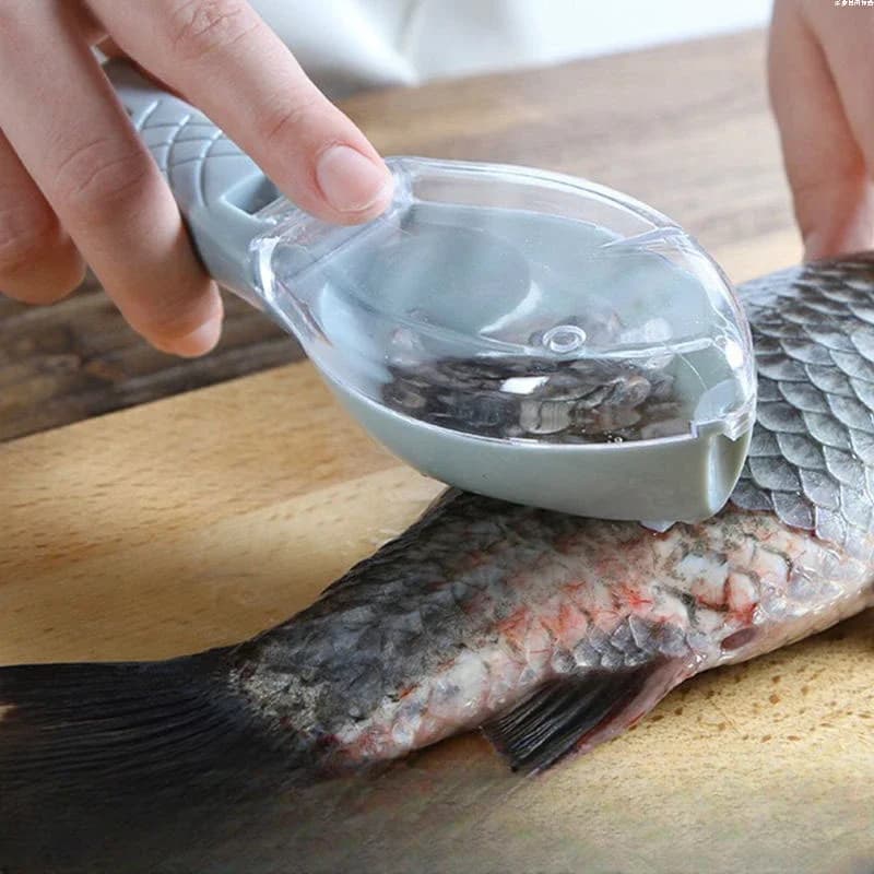 Grattoir à écailles avec couvercle - outil nettoyage poisson cuisine pêche carpe accessoire ménager pratique