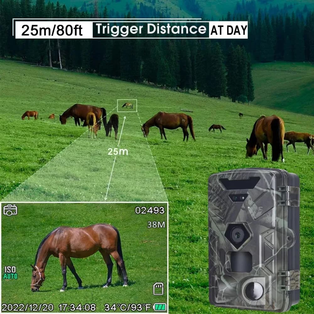Caméra de chasse Suntekcam 50MP 4K HC-881A avec déclenchement 0.3s vision nocturne infrarouge étanche