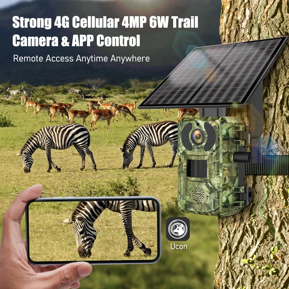 Caméra trail 4G 4MP vision nocturne pour observation faune et repérage zones pêche