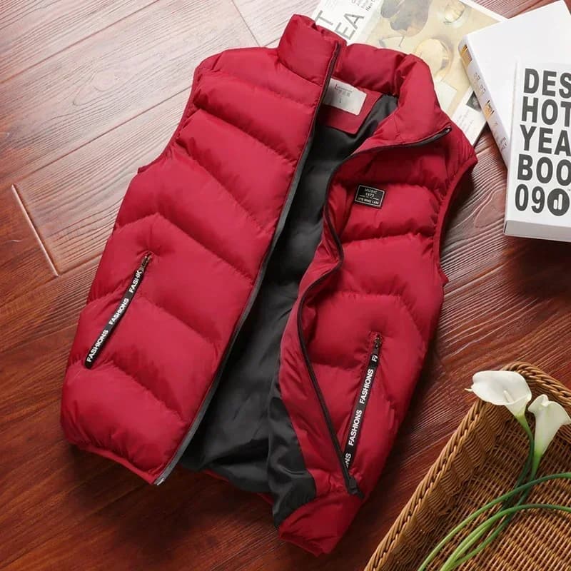 Veste sans manches homme hiver chaude matelassée col montant zippée extérieur solide casual