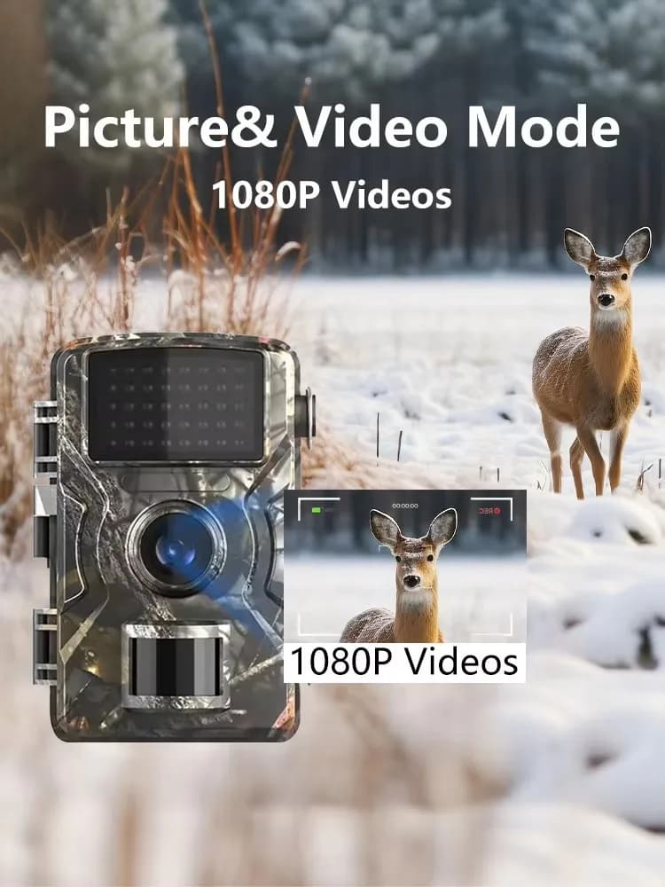 Caméra trail de chasse 1080P avec vision IR nocturne et détection de mouvement pour reconnaissance animalière
