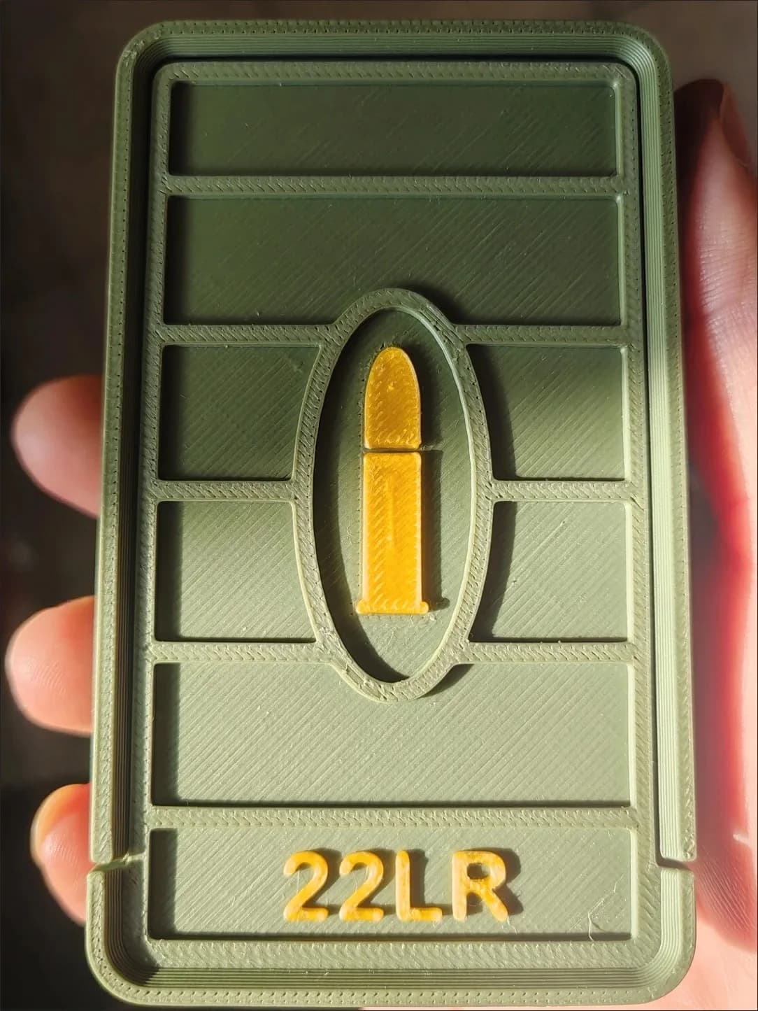 Boîte collection .22LR édition coulissante - Présentoir décoratif pour passionnés de pêche et collectionneurs