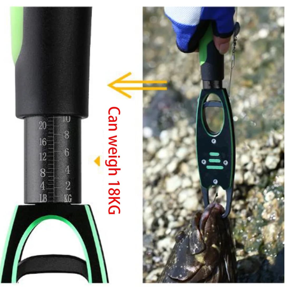 Pince à peser TAKEDO BL-040 grip pour poisson avec balance intégrée, bec extracteur d'hameçon et pince multifonction