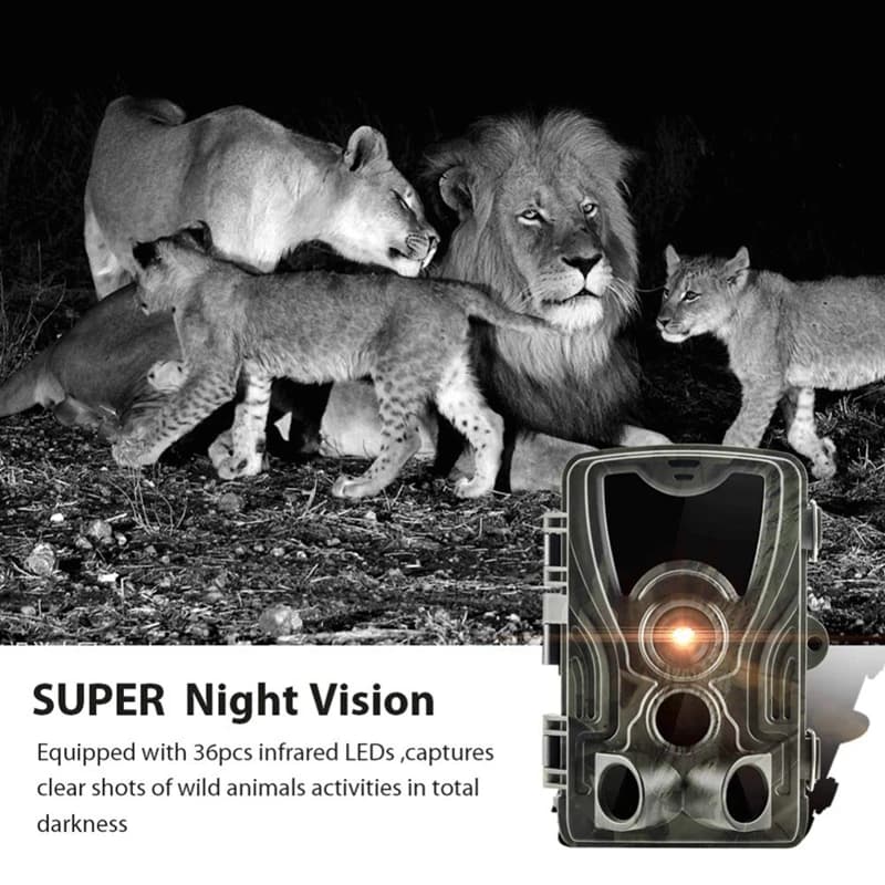 Caméra de chasse HC801A vision nocturne détection mouvement pour pistage animalier et surveillance extérieure