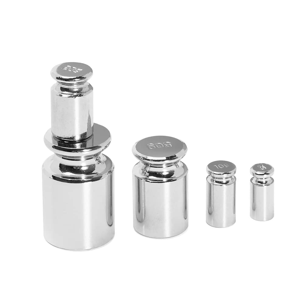 Jeu de poids calibration 1g-100g chromé pour balance pêche précision étalonnage outils professionnels