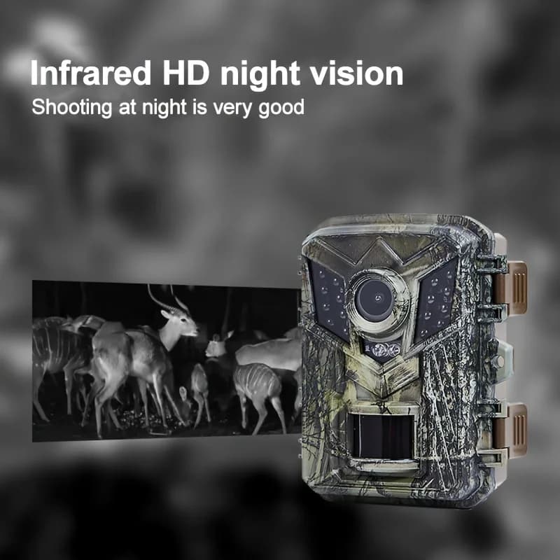 Caméra de chasse 720P vision nocturne IR étanche pour observation faune et cerfs - détection mouvement