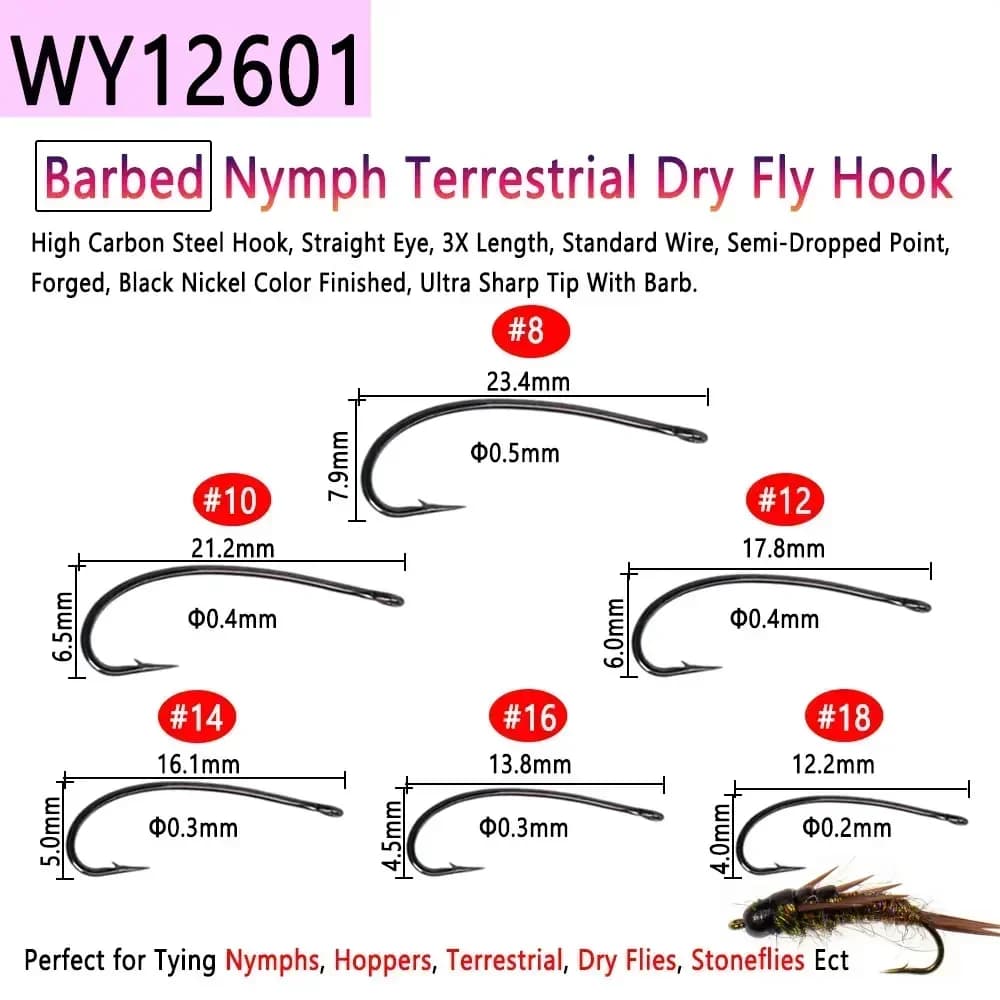 Hameçons de pêche à la mouche Bimoo 100 pièces acier haut carbone, sèches, noyées et nymphes,