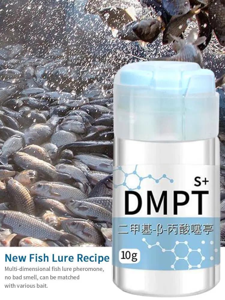 Gel attractant puissant pour appâts de pêche - Scent gel haute concentration sans danger pour poissons