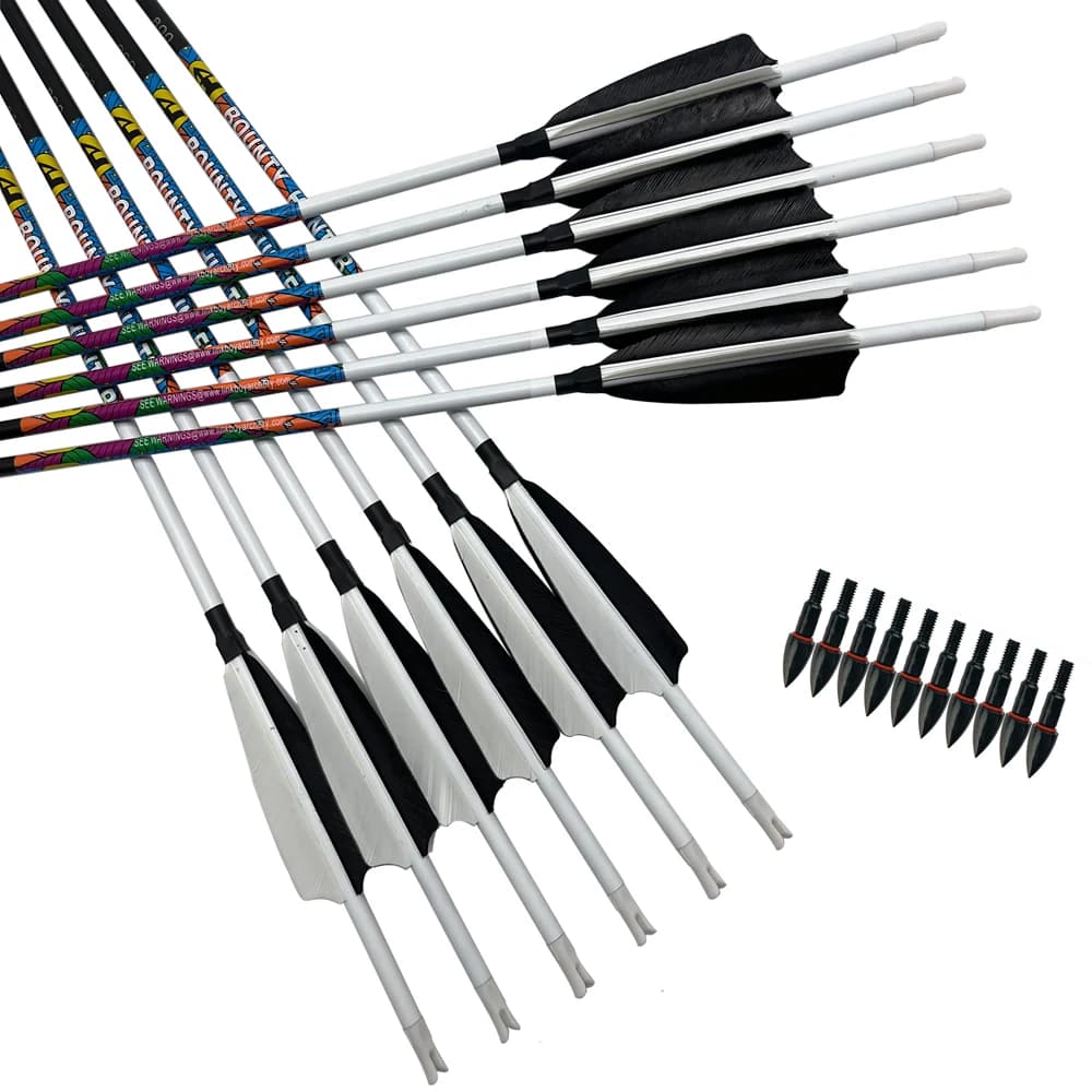6 flèches carbone 30/32 pouces pointes interchangeables pour pêche à l'arc compound/récursif