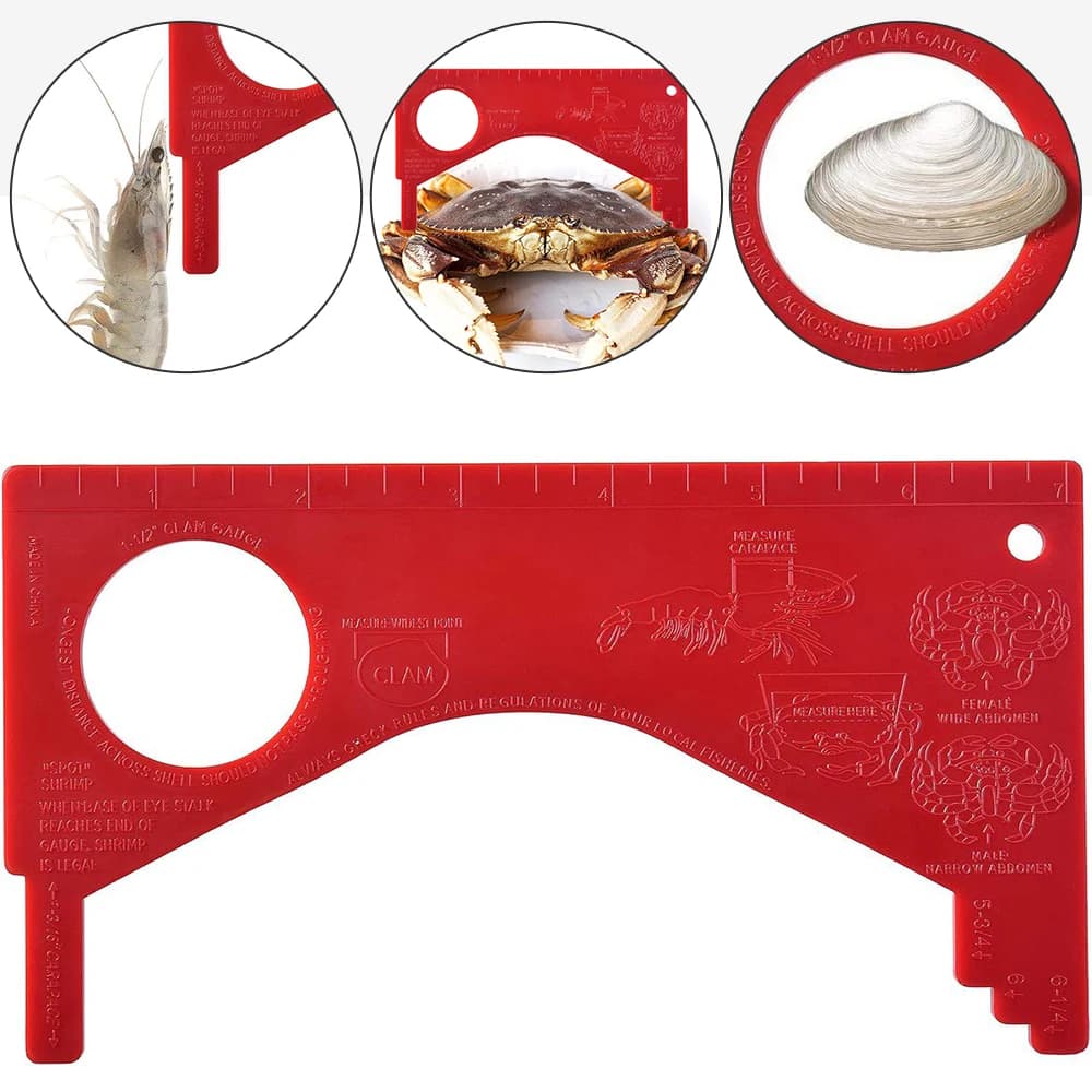 Jauge à crabes et crevettes mesure précise pour pêche équipement sportif durable