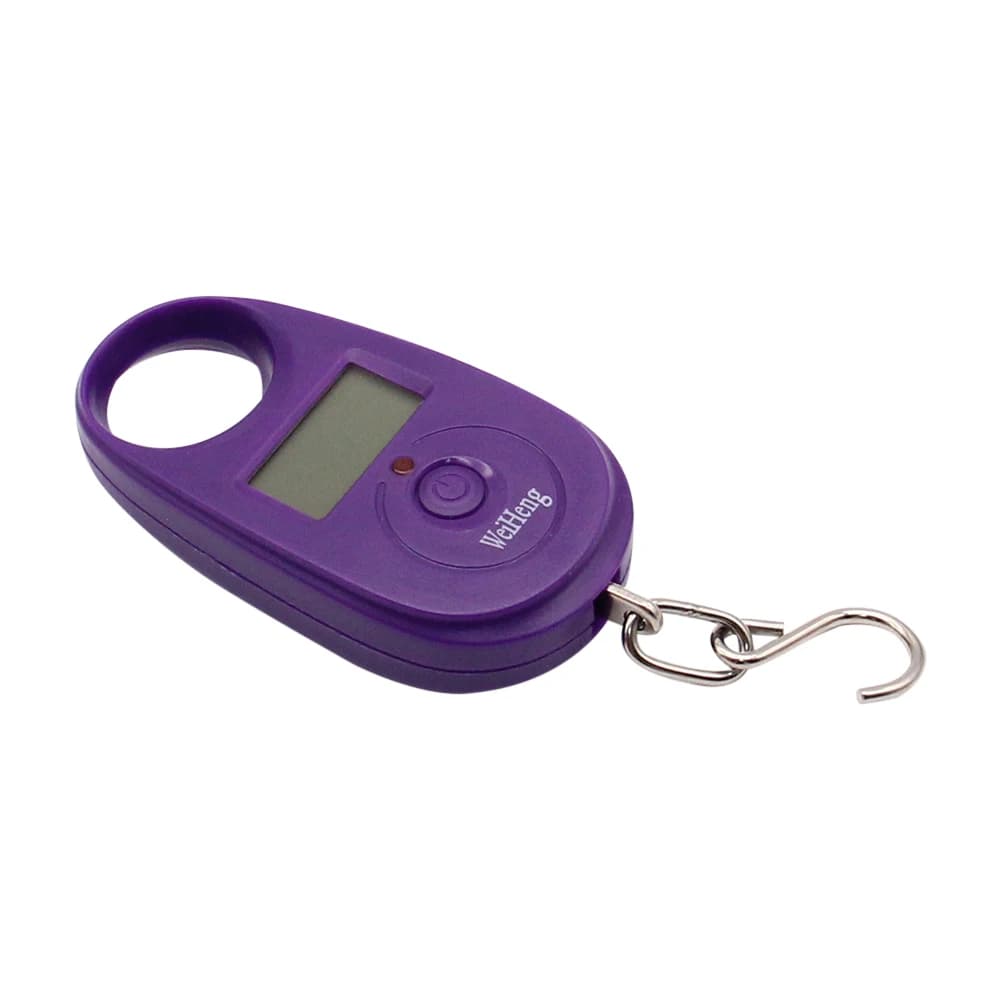 Mini balance pêche numérique portable 25kg x 5g pour bagages voyage clés électronique avec crochet