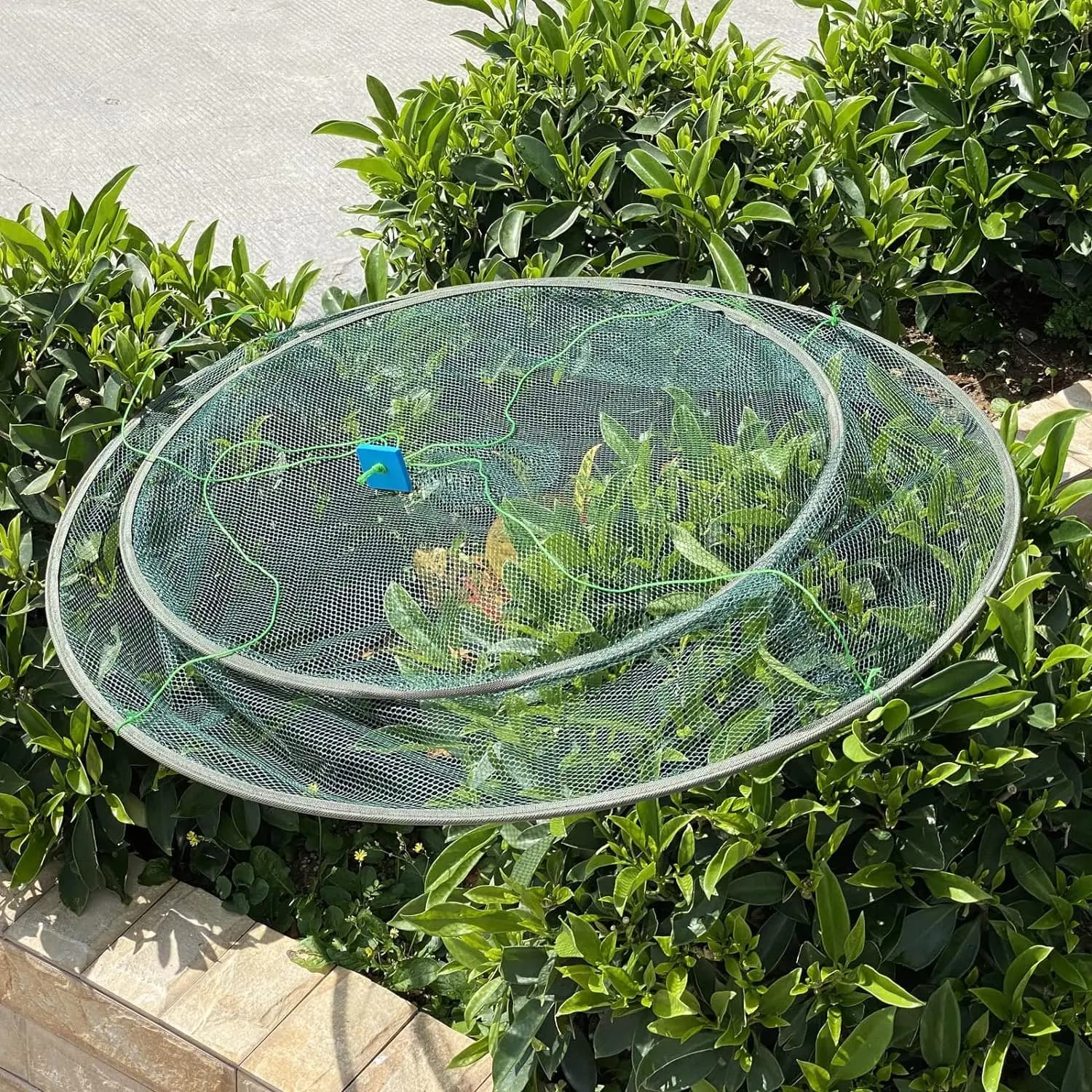Grande épuisette pliante 80/100cm pour poissons appâts crevettes - Filet de réception pour étang réservoir