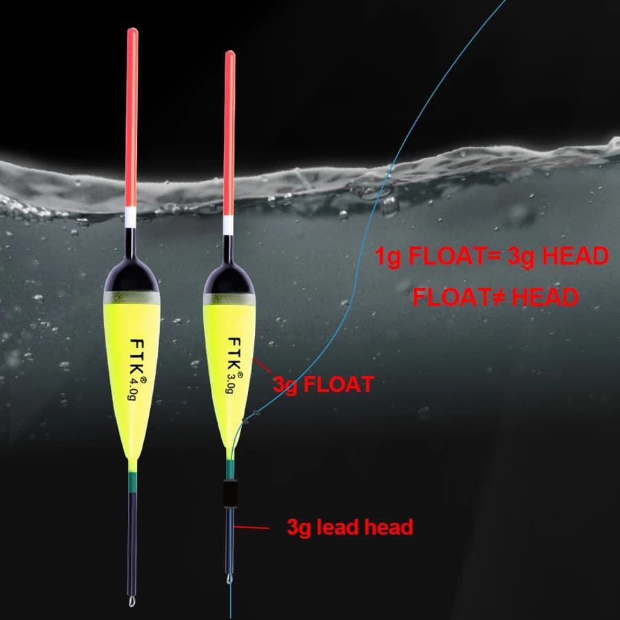 Flotteurs Bargouzine en sapin pour la pêche à la carpe, 5 pièces, 2g-4g, 15.5-20cm, bouchon vertical