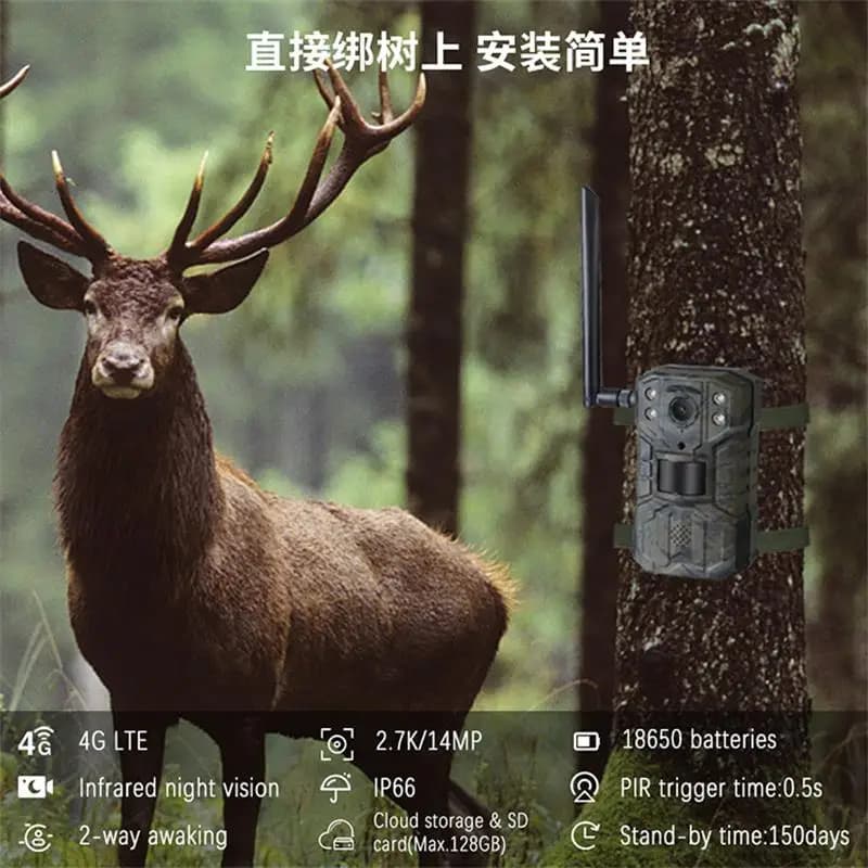 Caméra trail chasse 4G LTE solaire prise EU 14MP détection PIR 20M vision nocturne 30M wildlife
