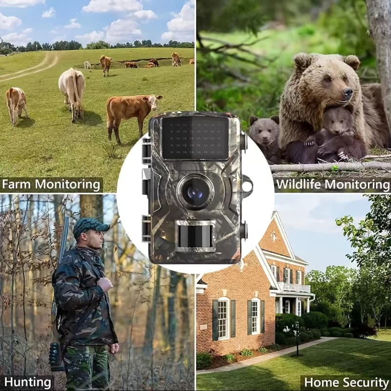 Caméra de chasse 2026 vision nocturne IR 1080p - Détection mouvement pour observation faune sauvage