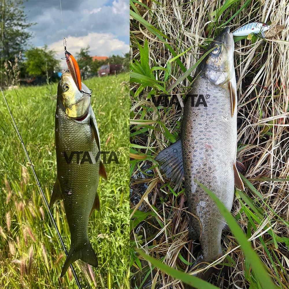 Leurre dur VTAVTA Sinking Minnow 7cm pour truite, brochet et pêche en mer - Leurres carnassiers