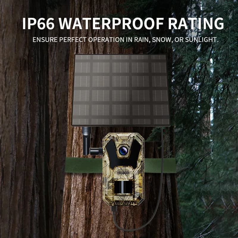 Caméra de chasse 4G solaire extérieure waterproof - Détection de mouvement et vision nocturne infrarouge