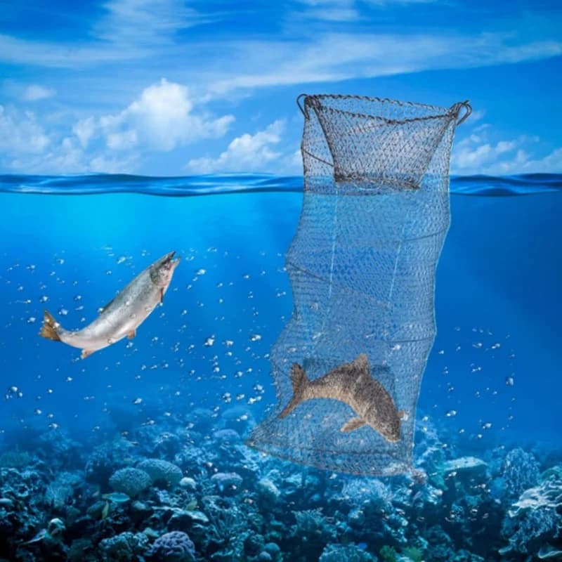 Piège pêche pliable télescopique 1 ou 2 pièces - Cage écrevisses crabes poissons crevettes homards portable