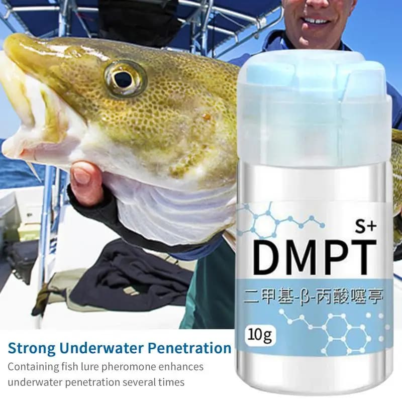 Gel attractant puissant pour poissons avec senteurs concentrées d'appâts naturels et additifs