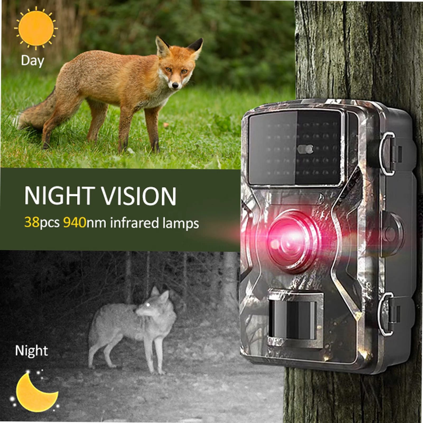 Caméra de chasse Wildlife 16MP 1080P infrarouge étanche IP66 pour observation nocturne des animaux
