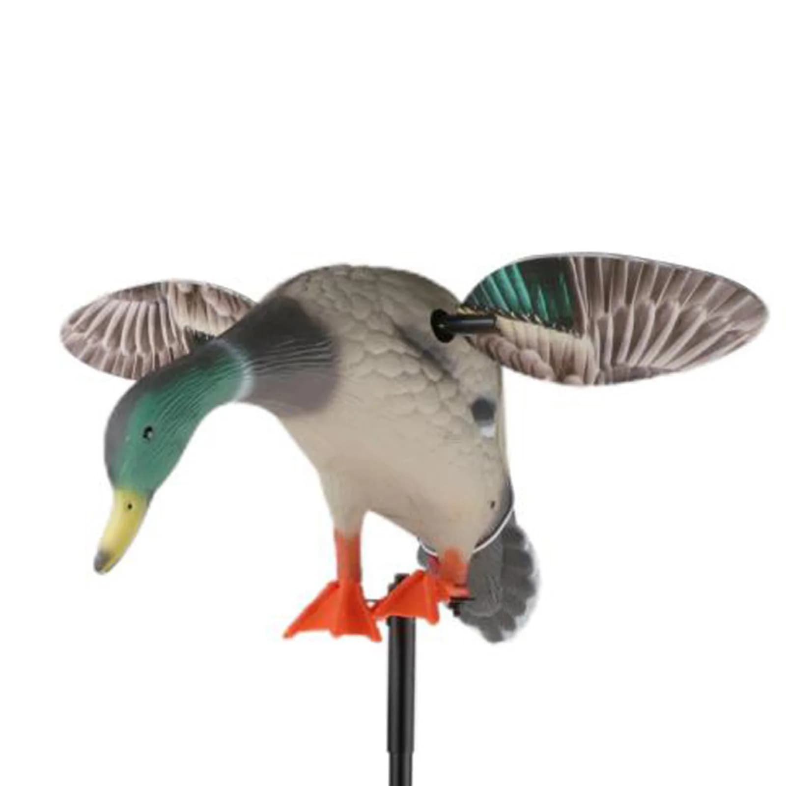 Canard leurre volant télécommandé mallard mâle 3D réaliste chasse extérieure sans batterie