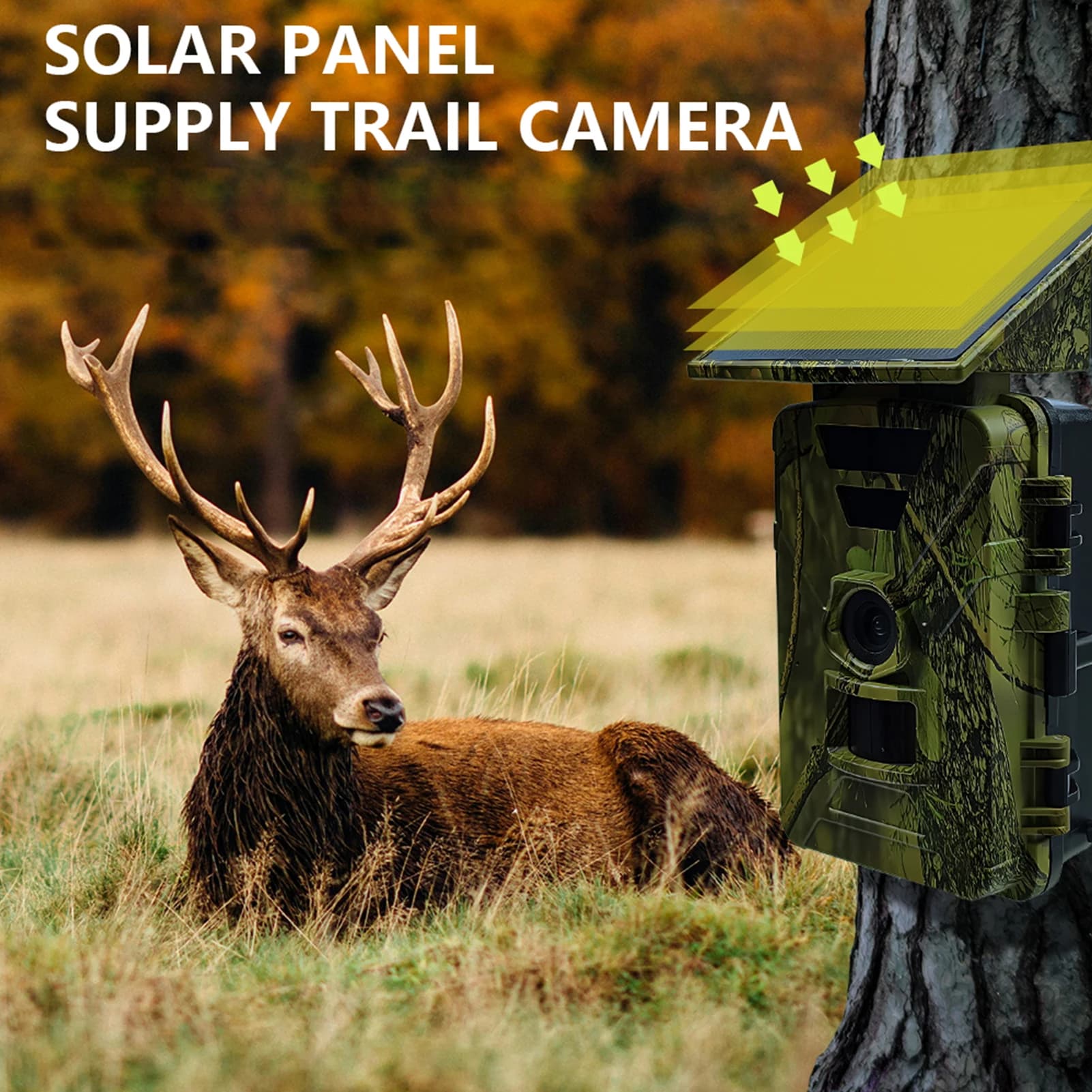 Caméra de chasse solaire WiFi 8K 60MP étanche IP66 pour surveillance extérieure des animaux nocturnes