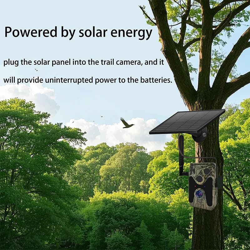 Caméra trail 2K ultra HD infrarouge 4G solaire - Surveillance animalière extérieure étanche et connectée