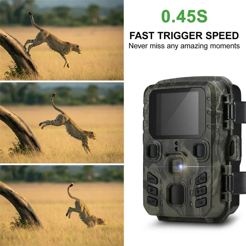 Mini caméra trail 4K 20MP étanche IP66 vision nocturne infrarouge pour monitoring faunique extérieur