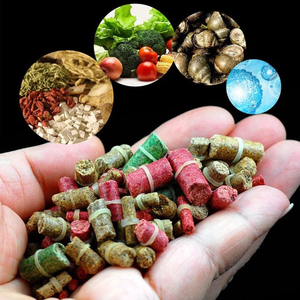 50 pièces appâts granulés pour carpe herbivore - Formule creuse insecte parfum crème truite