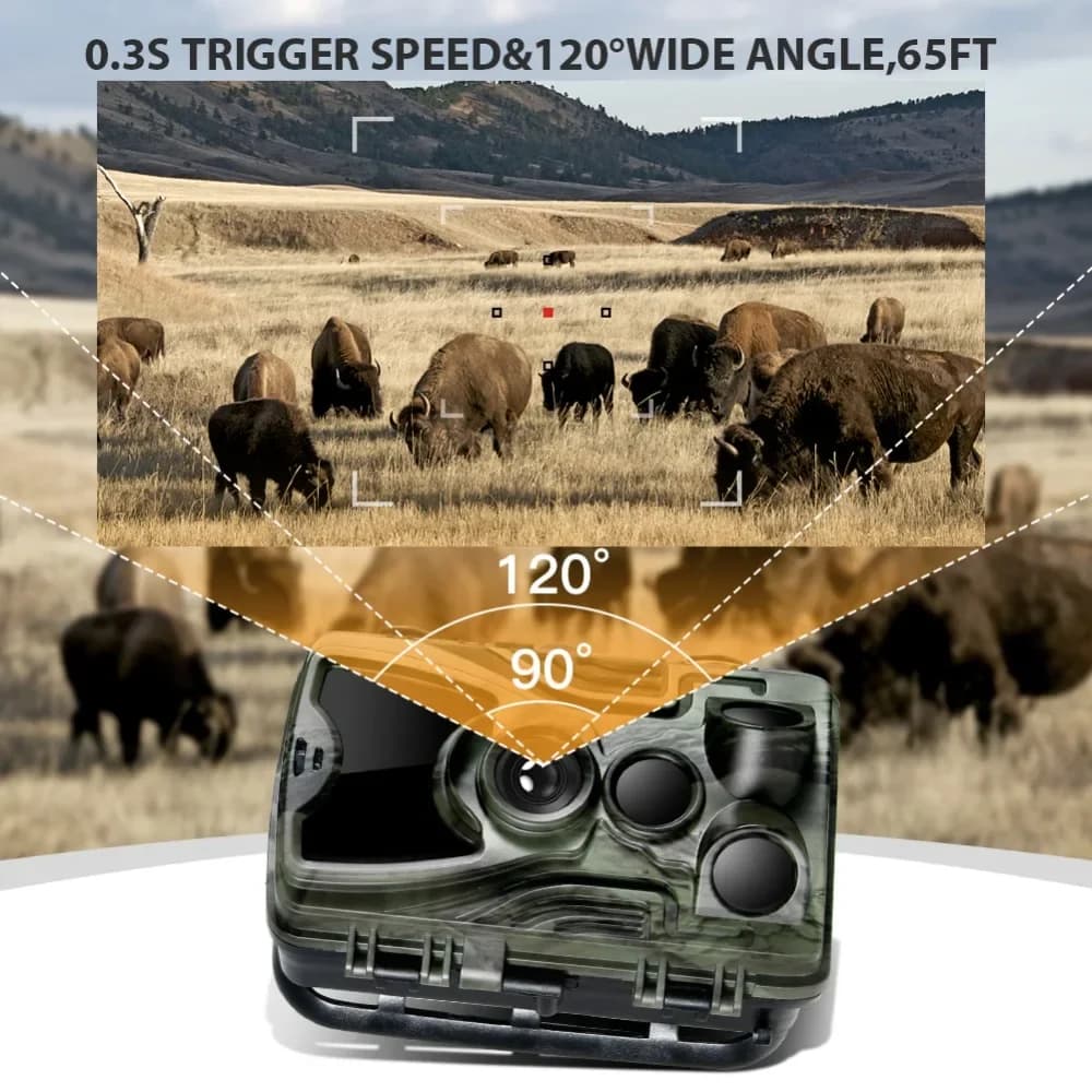 Caméra de chasse avec batterie lithium 5000mAh 20MP 1080P étanche IP65 piège photo 0.3s surveillance faune