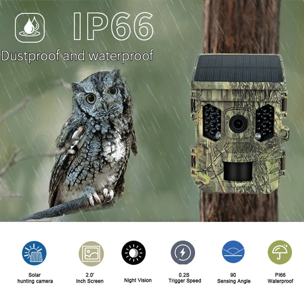 Caméra faune solaire 4K 1080P vision nocturne étanche Bluetooth WiFi app pour chasse connectée 16MP