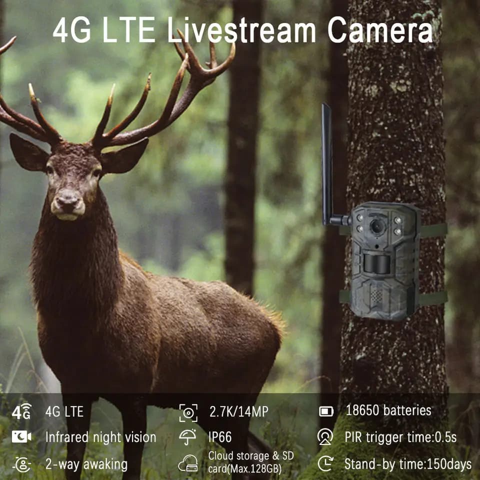 Caméra solaire lithium 2K 4G chasse vision nocturne infrarouge sans fil pour pêche trail