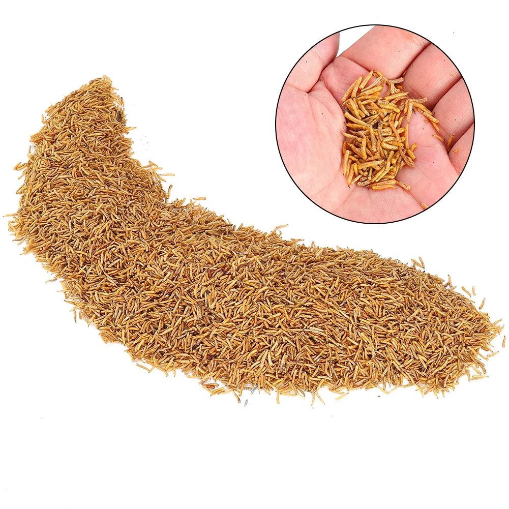 Asticots séchés 100g pour amorce carpe - additif naturel pour pêche au coup