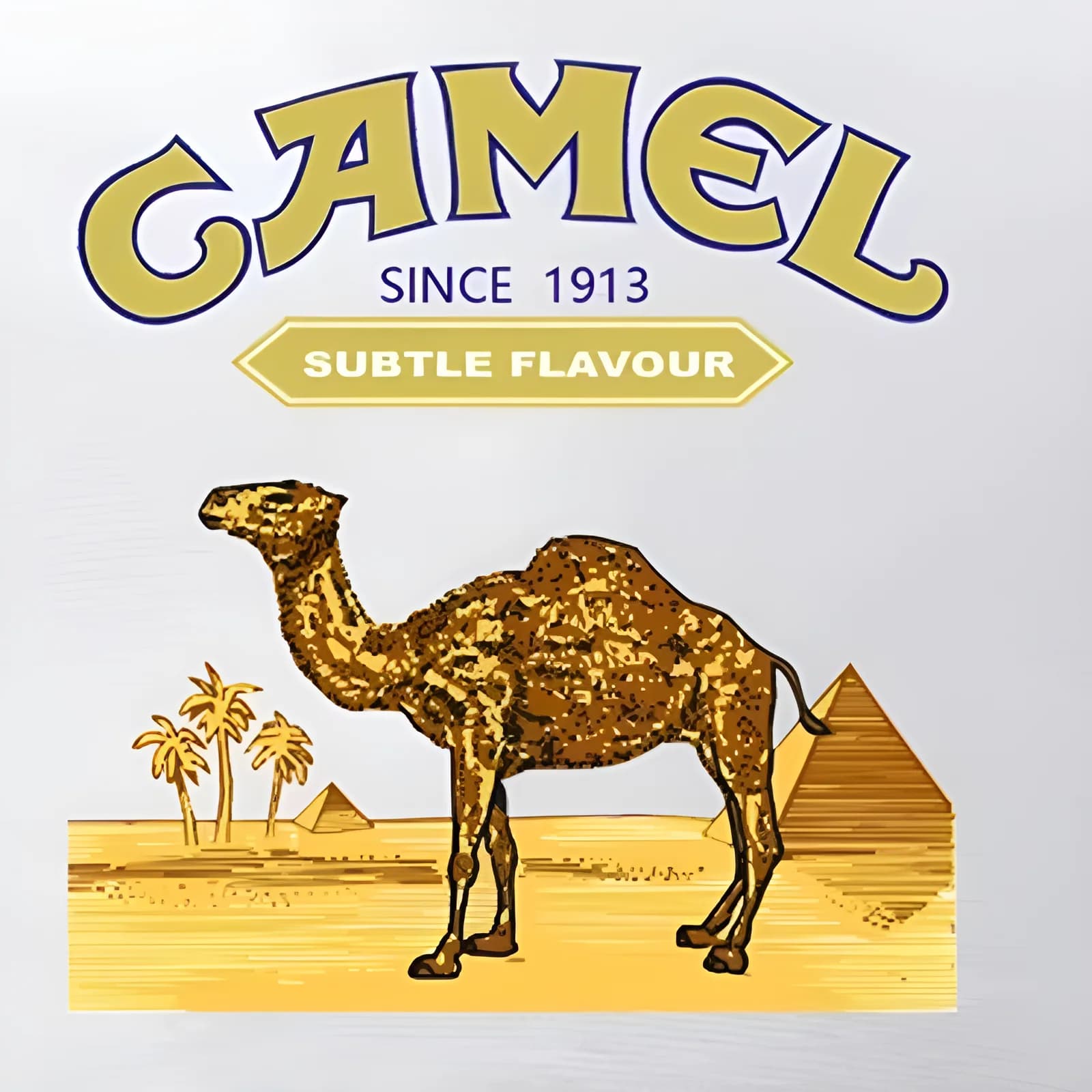 Casquette baseball pêche Camel Trophy imprimée pour activités outdoor et parties de pêche