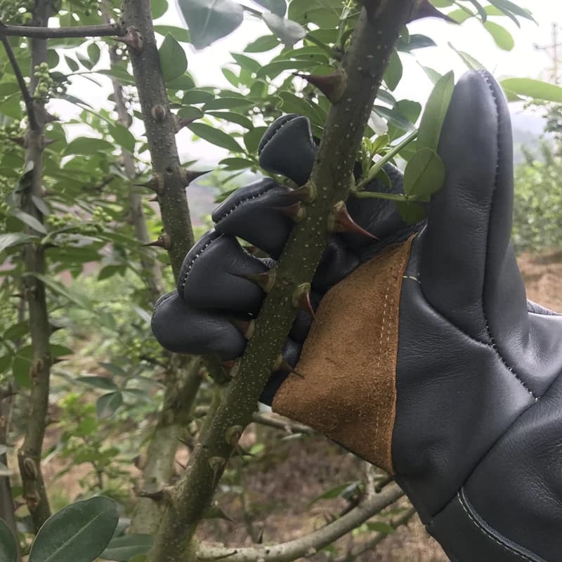 Gants de pêche professionnels cuir vachette imperméables résistants aux perforations jardinage