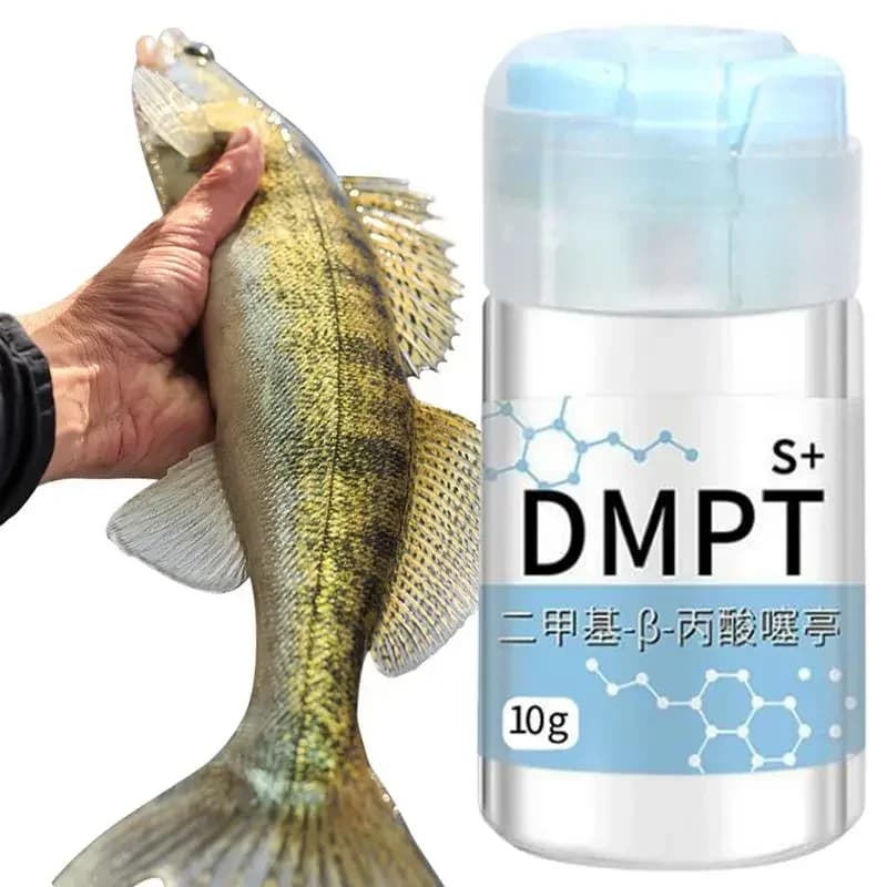 Gel attracteur DMPT soluble pour crucian - poudre appât irrésistible pêche eau douce additif