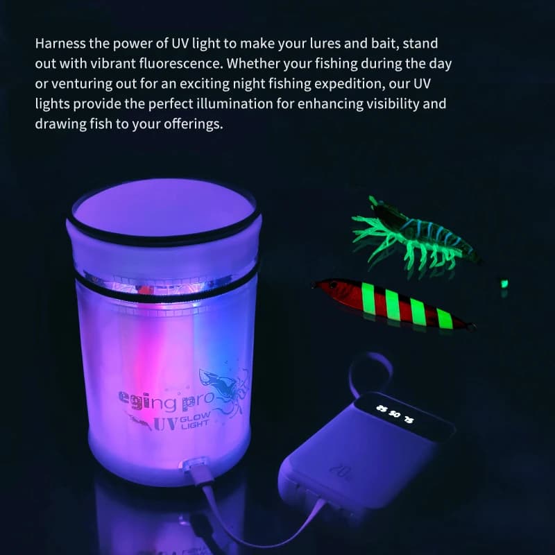 Boîte de rangement étanche pour leurres UV luminescents et jigs à calmar - Matériel de pêche en mer