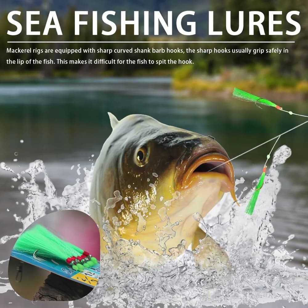 Kit de pêche Sabiki Takbas 10 hêmons appâts, leurres maquereau mer et eau douce, matériel de pêche durable