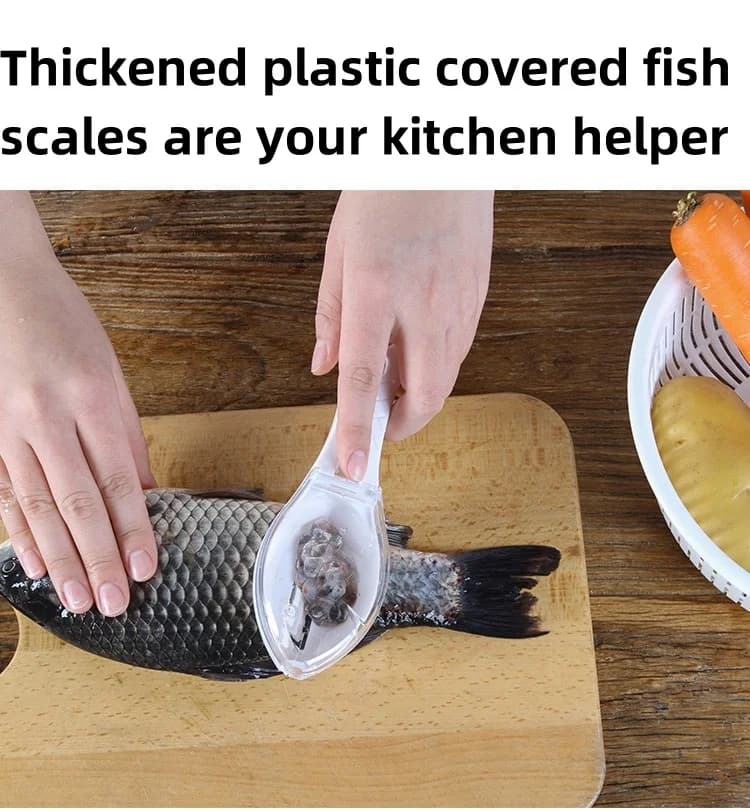 Balance ménagère cuisine grattoir écailles poisson - desquamation manuelle outils pêche