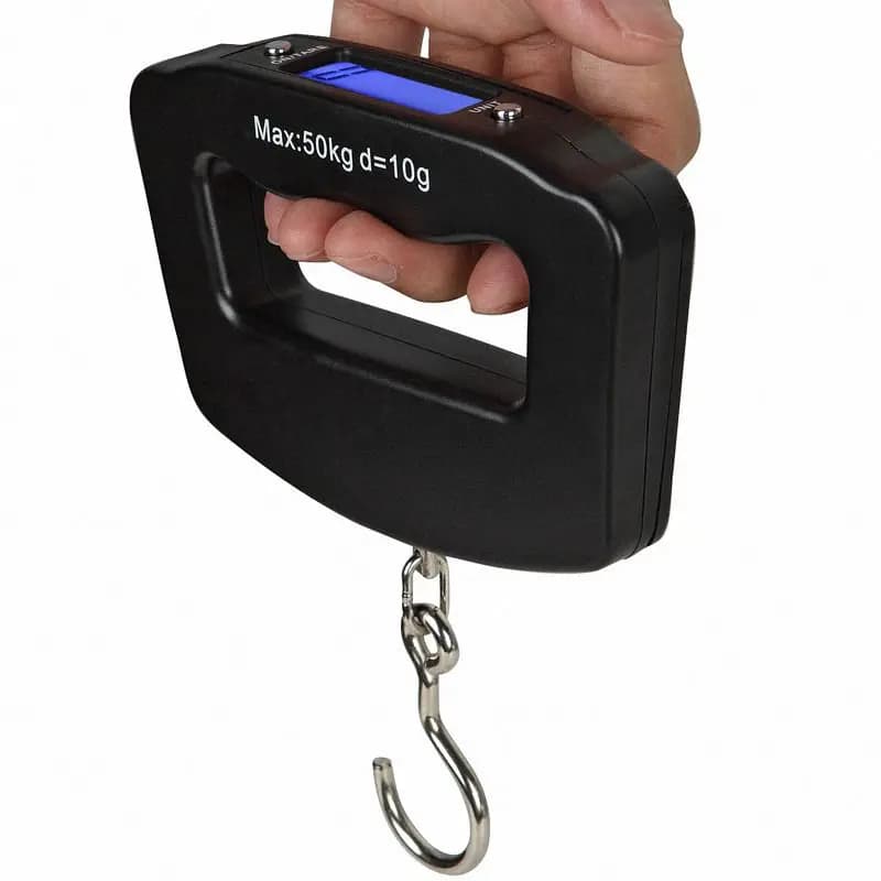 Balance électronique portable 50kg 110lb pour bagages et pêche - Pèse-bagage digital précis voyage