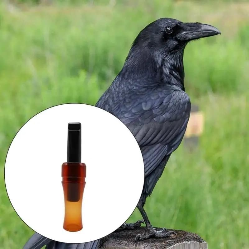Sifflet appel corbeau chasse simulation son pour attirer corbeaux leurre décoy extérieur équipement chasseur