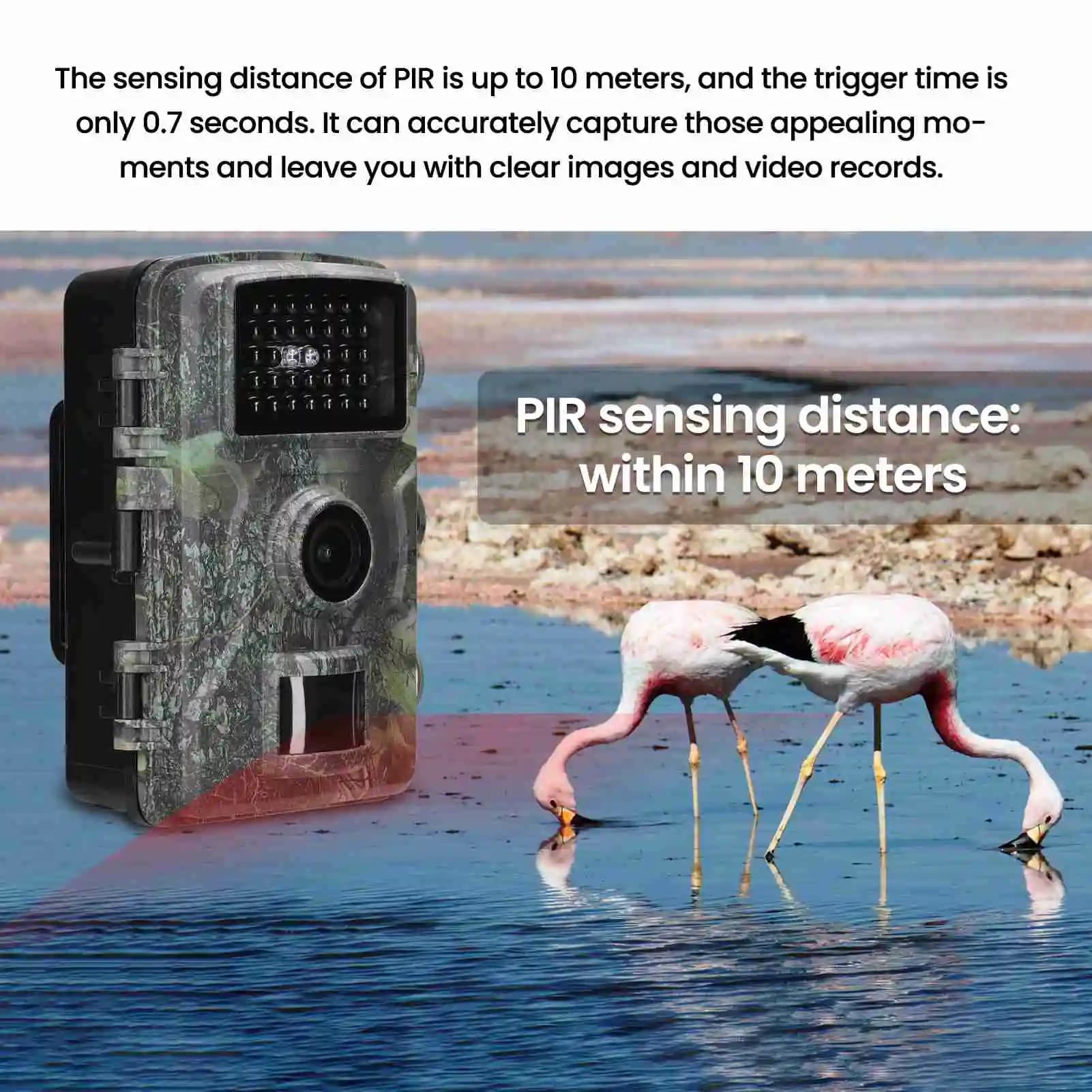Caméra de surveillance IP66 étanche 1080P HD pour observation extérieure de ferme et terrain
