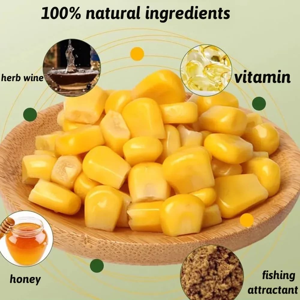 Appât nutritionnel maïs 150-300 pièces - Attractant parfum musc pour carpe - Grains aromatisés pêche