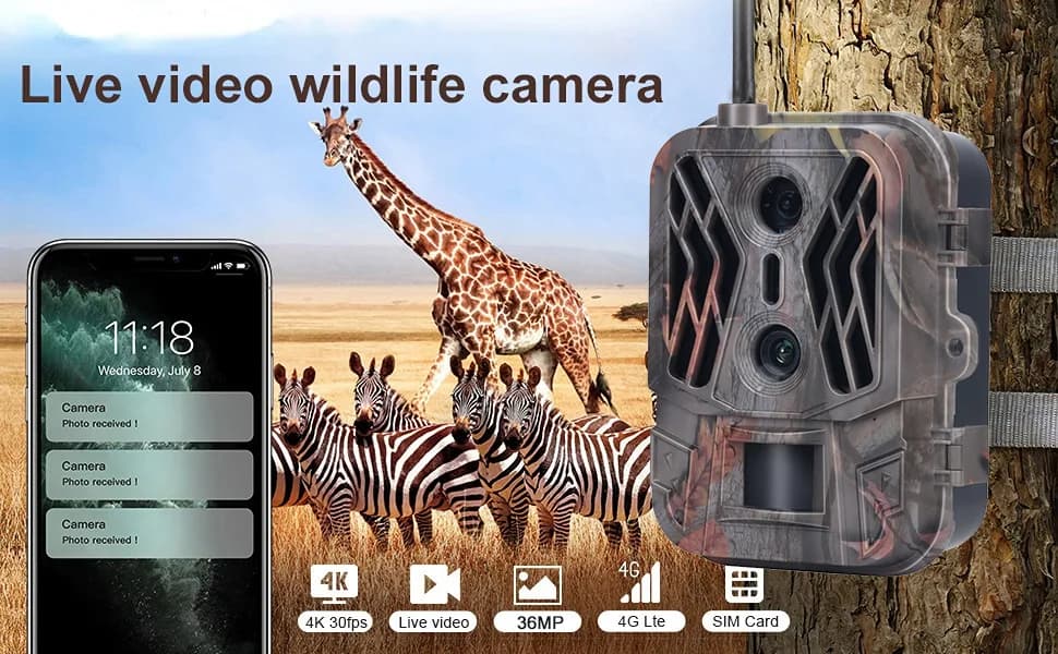 Caméra de chasse 4G sans batterie lithium avec double détection - Contrôle APP et service cloud inclus