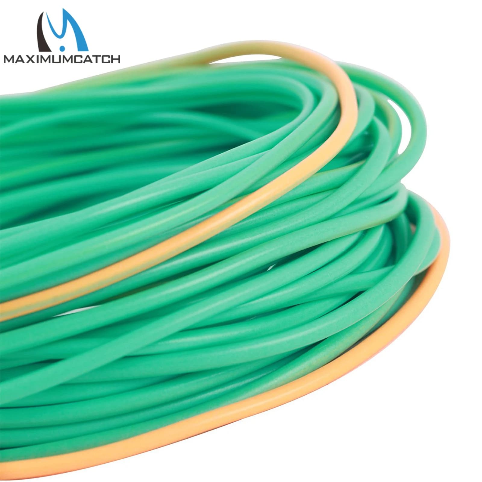Ligne de pêche à la mouche Skagit flottante double couleur 17-29m 200-650gr avec pointes amovibles