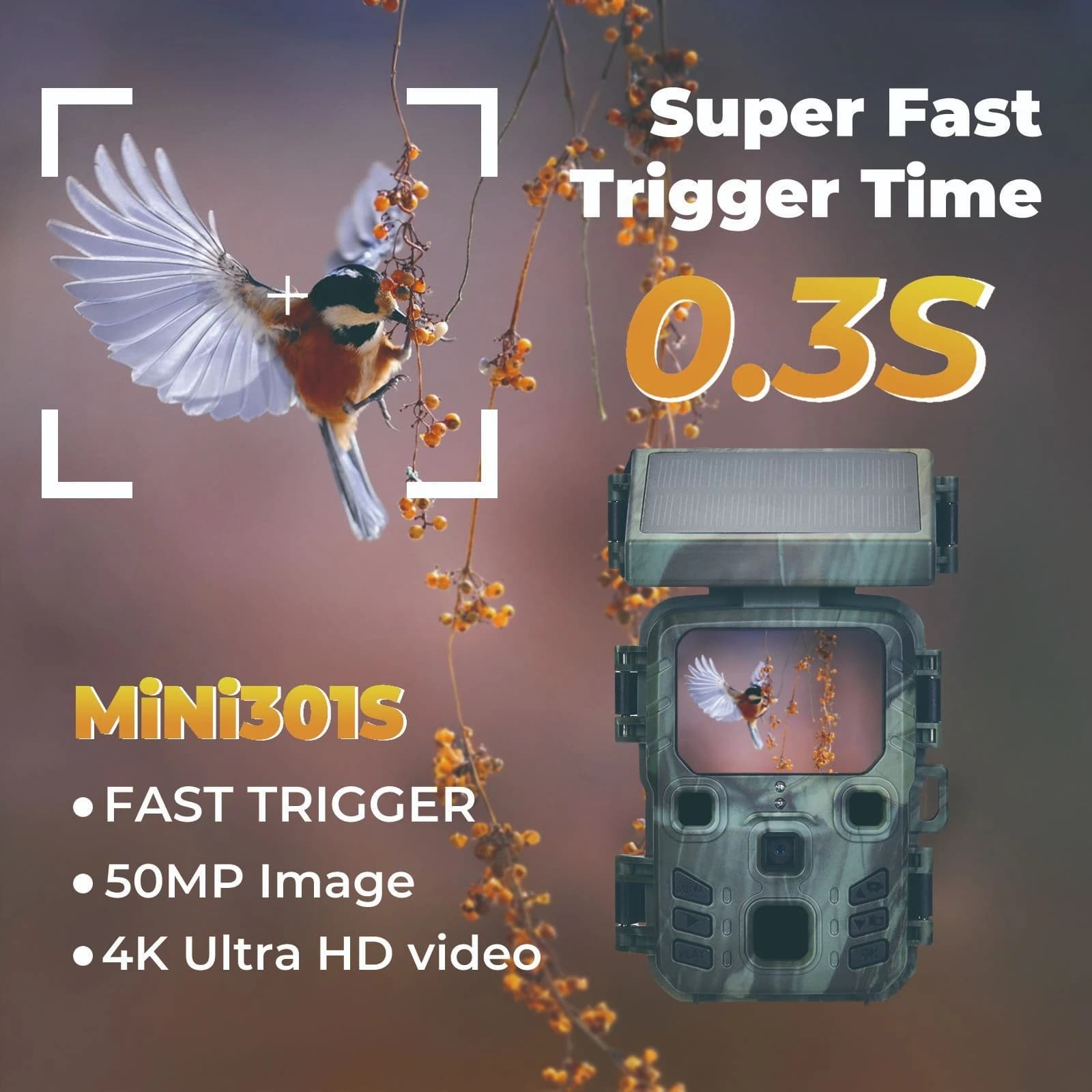 Mini caméra solaire 50MP 4K 4G - Observation infrarouge wildlife compacte pour pêche