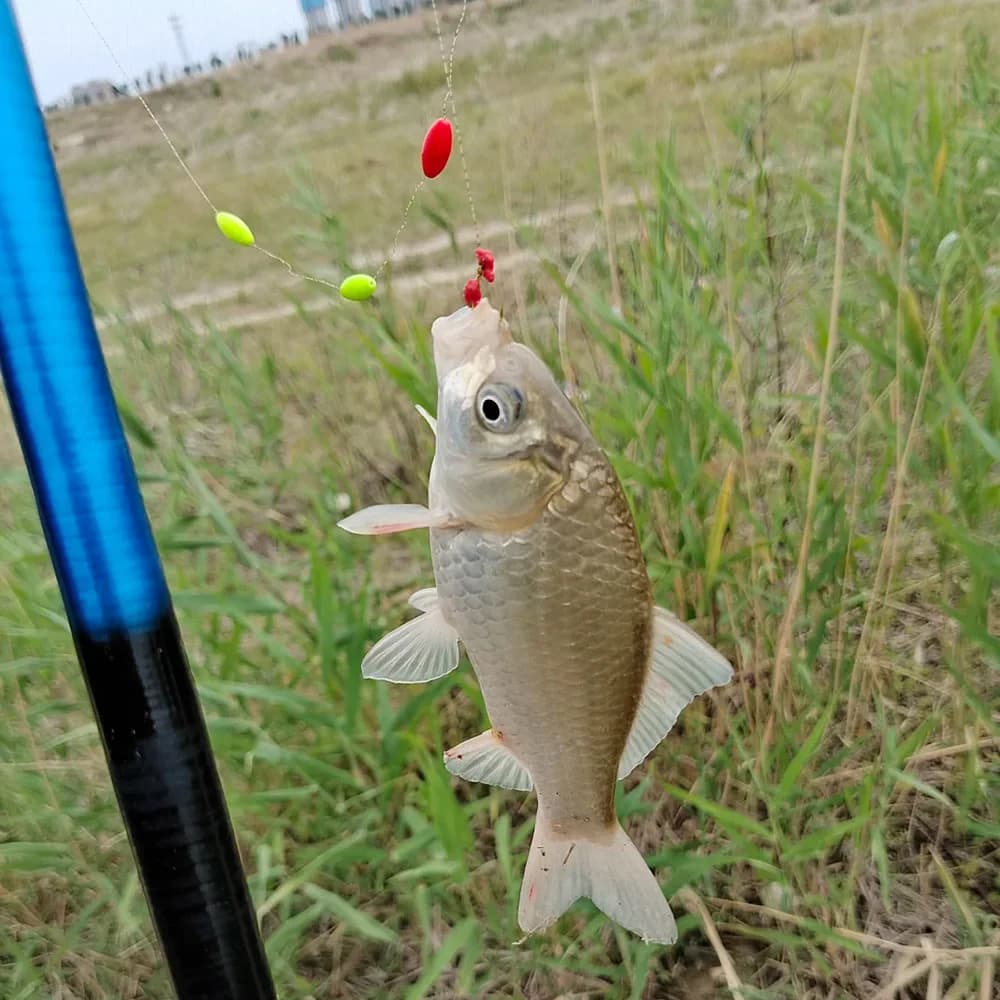 60 flotteurs 6 en 1 type étoile pour pêche au coup et pêche fine
