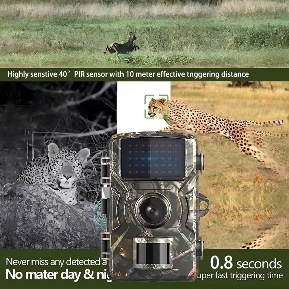 Caméra trail de chasse 1080P avec vision IR nocturne et détection de mouvement pour reconnaissance animalière
