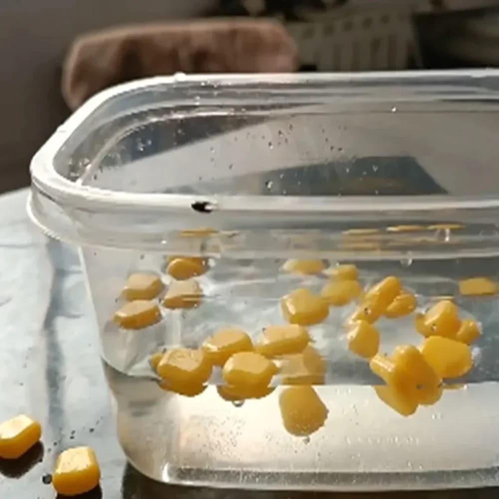 Appât silicone maïs flottant pour carpe - leurre souple odeur maïs pêche eau douce