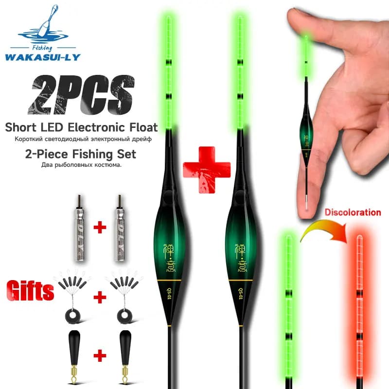 Lot de 2 flotteurs électroniques LED pour pêche de nuit avec détection de touche et changement de couleur